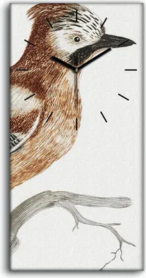 Produktbild von Wandbild Leinwand Bilder Wanduhr 30x60 Zeichnung Tier Vogel Zweig Kunst - schwarze Hände