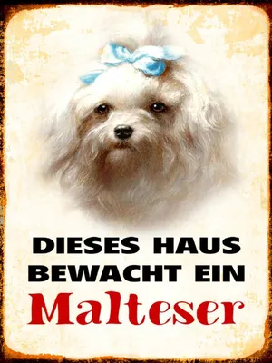 Produktbild von vianmo Holzschild 40x30 cm Hund dieses Haus bewacht ein Malteser