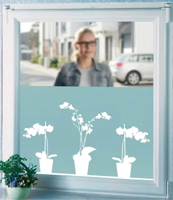 Produktbild von Sichtschutzfolie Orchidee