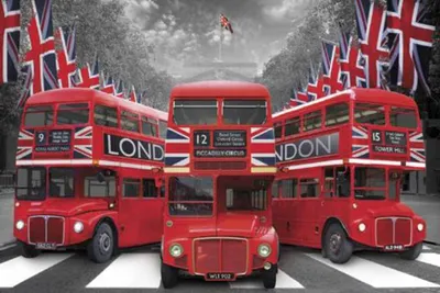Immagine prodotto di Londra - Poster - Palace Busses