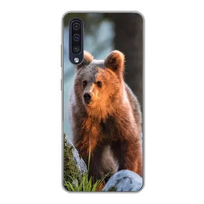 Produktbild von MuchoWow® Handyhülle Schutzhülle Hülle für Samsung Galaxy A30s Bär - Braun - Tier Silikon Softcase Handy Hülle - Karteninhaber