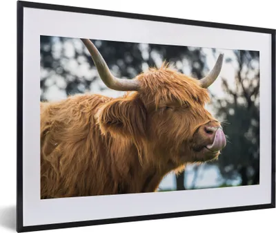 Produktbild von MuchoWow® MuchoWow® Gerahmtes Poster Schottisches Hochlandrind - Kuh - Frühling - Tiere 60x40 cm - Poster mit zchwarzem Bilderrahmen - Schlafzimmer - Plakat in Rahmen - Drucken