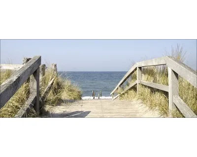 Produktbild von Glasbild Way To Sea II 125x50 cm