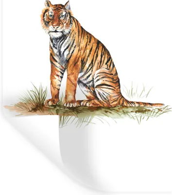 Produktbild von MuchoWow® - Sticker - Dekorfolie