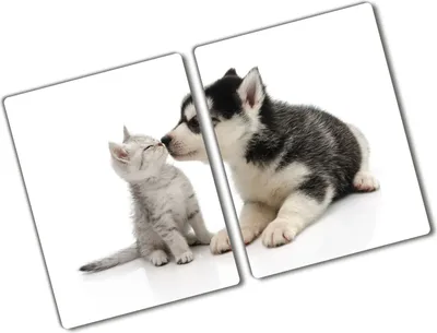Produktbild von Tulup Glas Herdabdeckplatte - 2x40x52 cm - Glaskeramikkochfeld-Abdeckung Spritzschutz Glasabdeckplatte Kochplattenabdeckung und Schneidebrett - Zweiteilig - Tiere - Hund und Katze - Schwarz