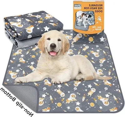 Produktbild von Famanu Wasbare Plaspads für Hunde - Wiederverwendbare und schnell absorbierende Hundepads (2er Set)