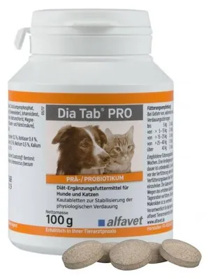 Produktbild von Dia Tab Pro Kautabletten 100g
