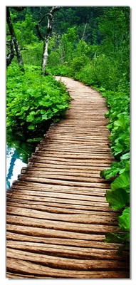 Produktbild von Wallario selbstklebende Türtapete 100 x 220 cm mit Schutzlaminat - Holzweg im Wald