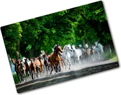 Produktbild von Tulup Glas Herdabdeckplatte - 80x52 cm - Glaskeramikkochfeld-Abdeckung Spritzschutz Glasabdeckplatte - Einteilig - Tiere - Pferde im Galopp - Mehrfarbig