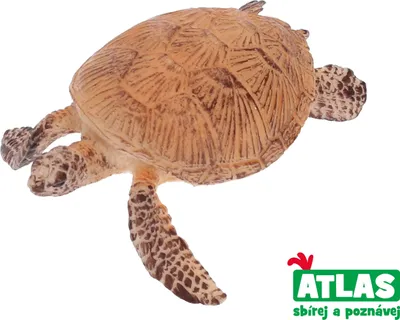 Produktbild von Figur Schildkröte 8 cm, Größe 8 cm