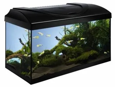 Obrázok produktu pre DIVERSA Akvarijná súprava 60 – čierna, rozmer 60x30x30 cm