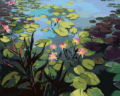 Produktbild von Zuty - Malen nach Zahlen - TEICH MIT SCHÖNEN SEEROSEN, 40x50 cm, mit Keilrahmen (bereits gespannt)