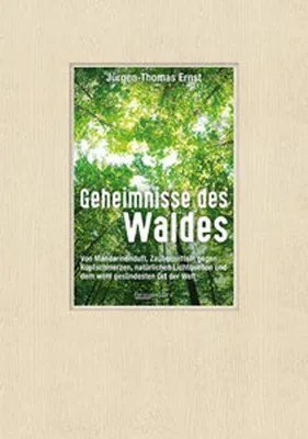 Image de Geheimnisse des Waldes