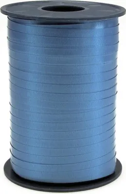 Image de Ruban de polyéthylène bleu 5mm/500m
