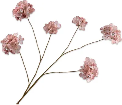 Produktbild von Silk-ka Kunstblume - Seidenblumen Hortensienzweig "Real Touch" rosa-lachs 121 cm
