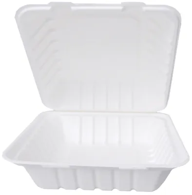 Image de NATUREStar 41224Menüboxen mit Klappdeckel quadratisch 230 x 230 x 85 mm Zuckerrohr weiß Volumen 1300 ml