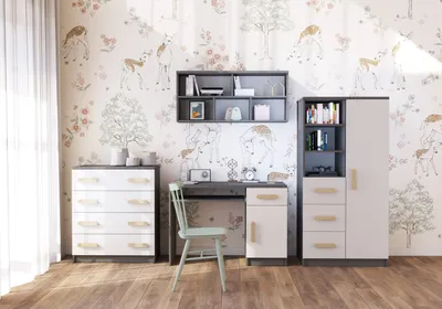 Produktbild von Kinderzimmer-Set Regal Wandregal Kommode Schreibtisch Grau/Weiß mit sonoma Griffe Jonas I 05