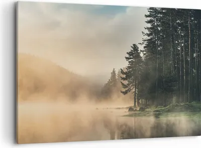 Produktbild von Bild auf Leinwand - Leinwandbild - Einteilig - Nebel See Wald - 120x80cm - Wand Bild - Wanddeko - Wandbilder - Leinwanddruck - Bilder - Wanddekoration - Leinwand bilder - Wandbild - AA120x80-4440