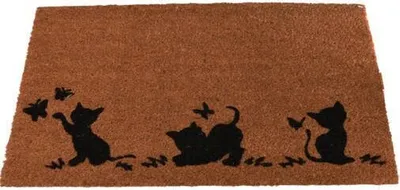 Produktbild von Fußmatte, Kokosfasern, 40 x 60 cm, mit Muster
