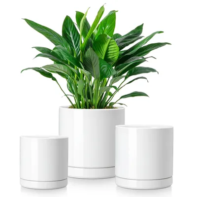 Image de Pot de fleurs en faïence vancasso, lot de 3 pots avec soucoupes pour plantes succulentes et plantes vertes, ronds, blancs