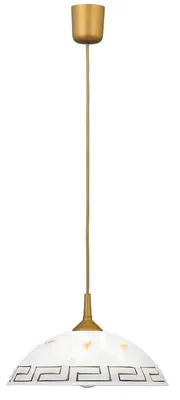 A pendant light fixture against a white background.