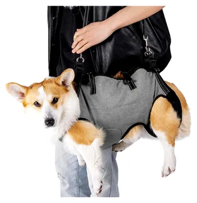 Produktbild von Hundegeschirr mit Griff, Verstellbare Tragehilfe für Hinterbeine und Vorderlauf-Stütze, Mobilitätshilfe für ältere, verletzte und behinderte mittelgroße Hunde (Grau)