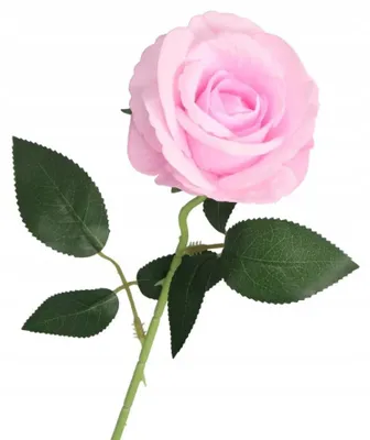 Produktbild von DEKO Künstliche Rose lebensecht Blumen 50 cm