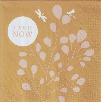 Immagine prodotto di Räder Serviette 33x33cm time is now