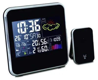 Elektronisches Thermometer TERDENS mit Farb-LCD und Außen-/Innenmessung