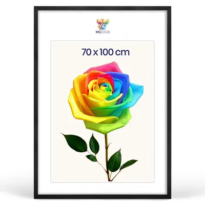 Produktbild von MG Design Bilderrahmen Schwarz 70x100 cm - Posterrahmen Echtholz mit Acrylglas, verstärkte Wandaufhängung, hoch/quer