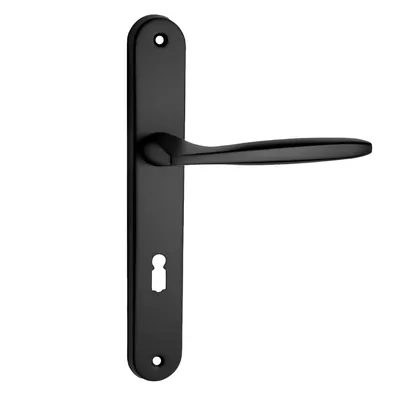 A black door handle with a long plate and a keyhole.