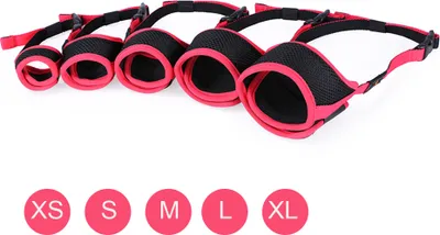 A set of dog muzzles in different sizes, with size labels below.