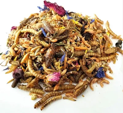Produktbild von WachtelGlück® Insekten Mix 250 Gramm
