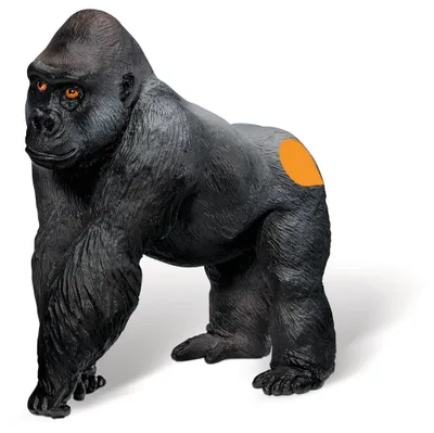 Produktbild von Tiptoi Spielfiguren Gorilla Männchen