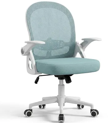 Image de Chaise ergonomique pour enfant X24F00K243, accoudoirs réglables, blanc/bleu