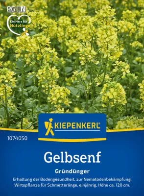 Artikelbild 2 von 'Gelbsenf Weißsamiger Senf (80 g)' aus der Kategorie Gründünger & -düngung