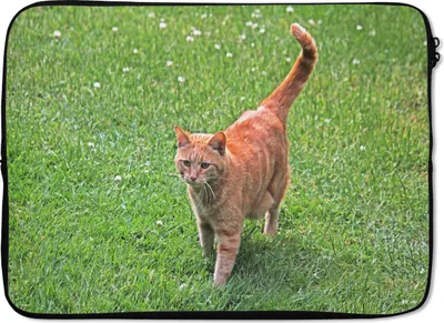 Produktbild von MuchoWow® Laptop Hülle 14 ZollKatze - Rot - Katze - Mädchen - Kinder - Jungen - Kind Laptoptasche - Laptoptasche - Stoßsicher - Schutzhaube