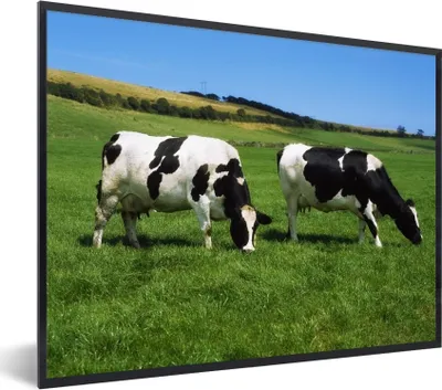 Produktbild von MuchoWow® Gerahmtes Poster Kuh - Tiere - Gras 80x60 cm - Poster mit Schwarzem Bilderrahmen Wandposter Rahmen Foto Bilder - Schwarzem - Mit Gestell