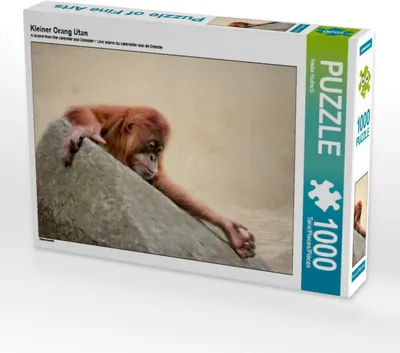 Produktbild von Calvendo Kleiner Orang Utan 1000 Teile Puzzle quer 640x480mm, Hultsch Heike; 7273764