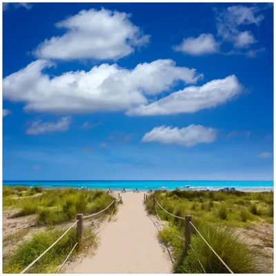 Produktbild von Wallario Premium Glasbild, freischwebende Optik, kräftige Farben, Größe 50 x 50 cm Motiv Sandweg zum blauen Meer mit blauem Himmel