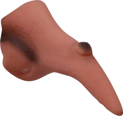 Produktbild von Halloween Hexe Gefälschte krumme Nase