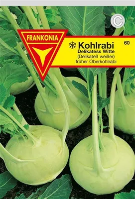 Produktbild von Kohlrabi Delikateß weißer