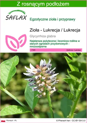 Zdjęcie produktu dla SAFLAX - Zioła - Lukrecja / Lukrecja - 30 Nasiona - Z podłożem uprawowym wolnym od zarazków - Glycyrrhiza glabra