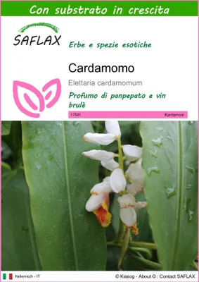 Immagine prodotto di SAFLAX  - Cardamomo - 20 semi - Con substrato - Elettaria
