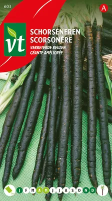 Produktbild von Schwarzwurzeln Improved Giants Samen - Ca. 5 gr | VT_603