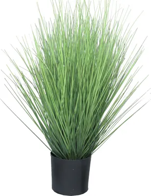 Produktbild von artplants.de Deko Gras Rutenhirse Yamin, grün, 60 cm - Künstliches Grasbüschel