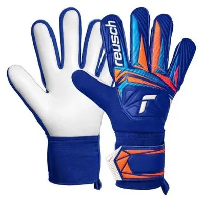 Productafbeelding van Starter sportkleding, artikelnummer 56705144126, kleur blauw