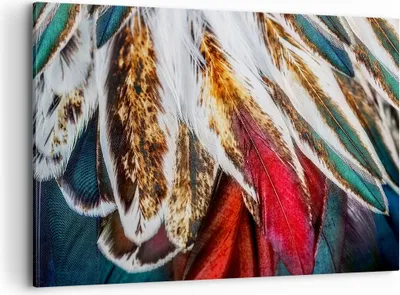 Produktbild von Bild auf Leinwand - Leinwandbild - Federn Federn Vogel - 100x70cm - Wand Bild - Wanddeko - Leinwanddruck - Bilder - Kunstdruck - Wanddekoration - Leinwand bilder - Wandkunst - AA100x70-3743