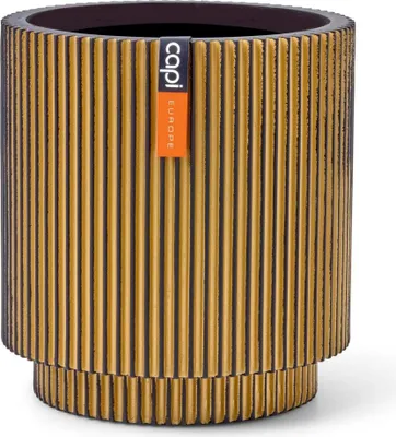 A close-up studio shot of a cylindrical planter with a ribbed gold exterior and a black interior.