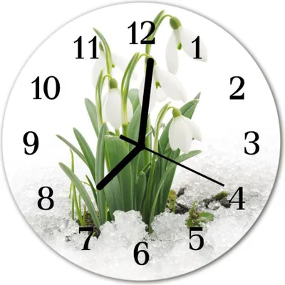 Produktbild von Glasuhr Wanduhr Küchenuhr Echt-Glas 30fi cm Schneeglöckchen weiß